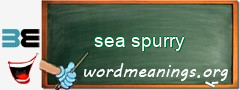 WordMeaning blackboard for sea spurry